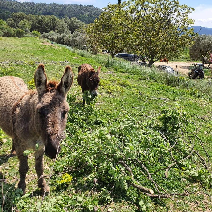 Bastide Bellugue Maison D'Hotes Reseau Bienvenue A La Ferme A 3 Minutes De Lourmarin Bed & Breakfast Cadenet Exterior photo