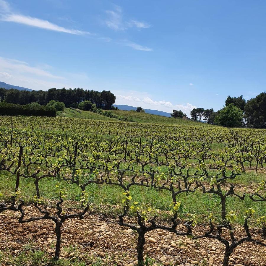 Bastide Bellugue Maison D'Hotes Reseau Bienvenue A La Ferme A 3 Minutes De Lourmarin Bed & Breakfast Cadenet Exterior photo