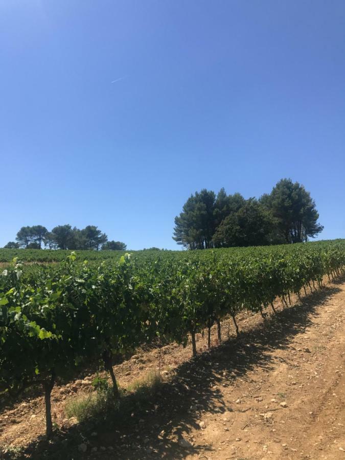 Bastide Bellugue Maison D'Hotes Reseau Bienvenue A La Ferme A 3 Minutes De Lourmarin Bed & Breakfast Cadenet Exterior photo