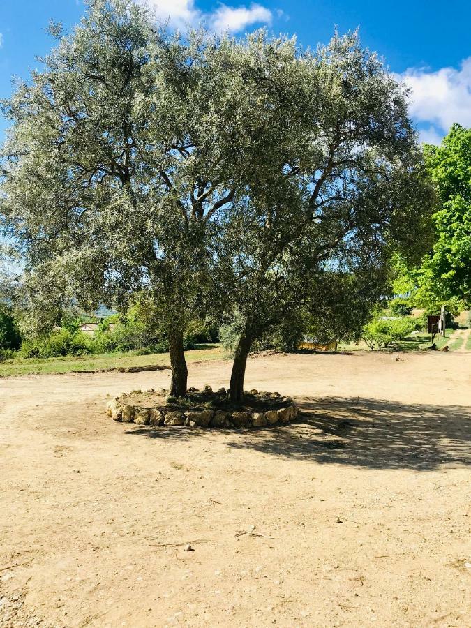 Bastide Bellugue Maison D'Hotes Reseau Bienvenue A La Ferme A 3 Minutes De Lourmarin Bed & Breakfast Cadenet Exterior photo